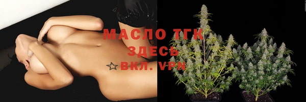 дживик Белокуриха
