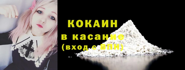 дживик Белокуриха
