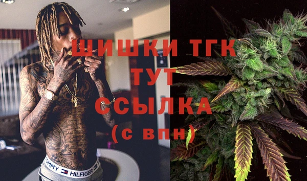 дживик Белокуриха