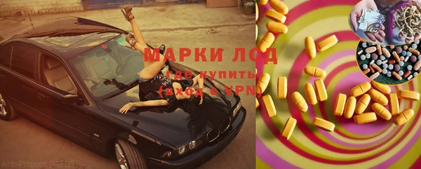 дживик Белокуриха