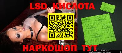 Альфа ПВП Ставрополь