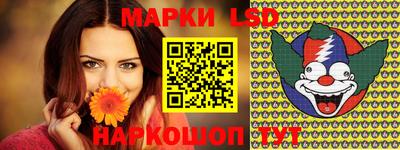 Альфа ПВП Ставрополь