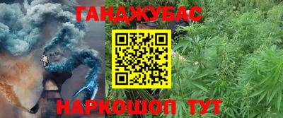 Альфа ПВП Ставрополь