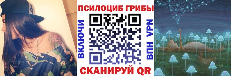 Псилоцибиновые грибы GOLDEN TEACHER  Среднеуральск 