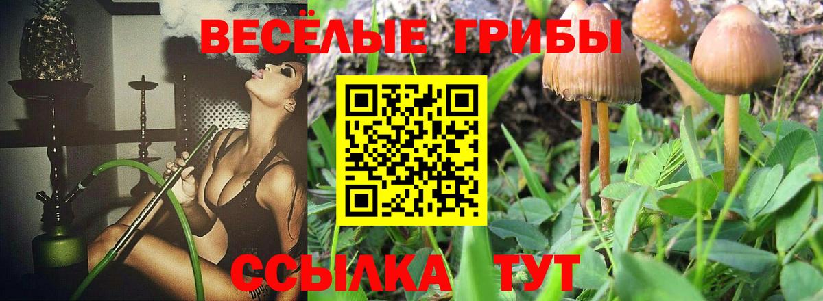 Псилоцибиновые грибы Psilocybine cubensis  Вход с VPN  Среднеуральск  Псилоцибиновые грибы Psilocybine cubensis 